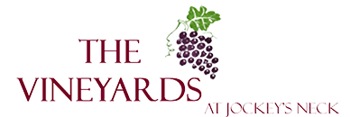 Williamsburg Luxury Homes in The Vineyards Williamsburg